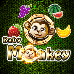 babymonkey